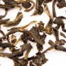 Ancient Forest OG/FT